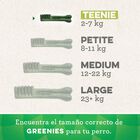 Greenies Grain Free Snack Dental para perros 170 gr image number null